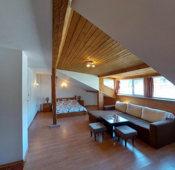 آپارتمان 1 خوابه با چشم‌انداز, Vasi Apartments