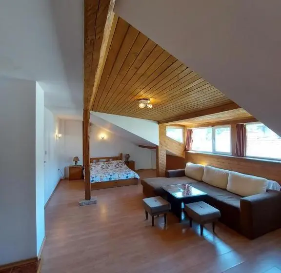 景色の見える一ベッドルームアパートメント, Vasi Apartments