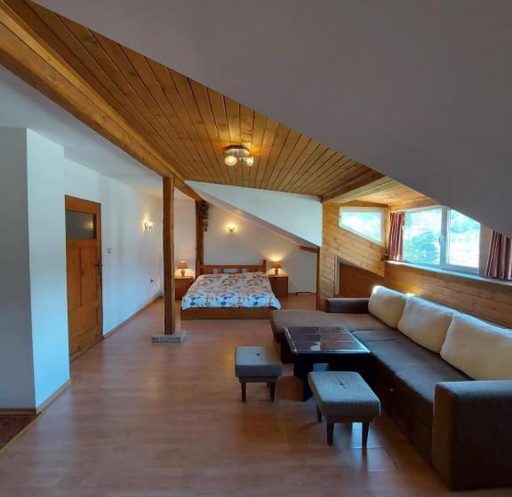 آپارتمان 1 خوابه با چشم‌انداز, Vasi Apartments