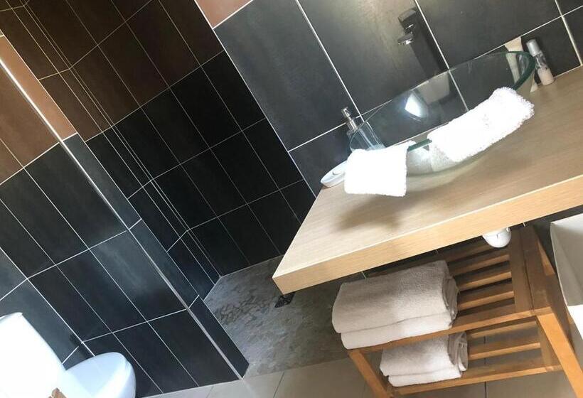 חדר סטנדרט נוף לגינה, Villa Des Romieux