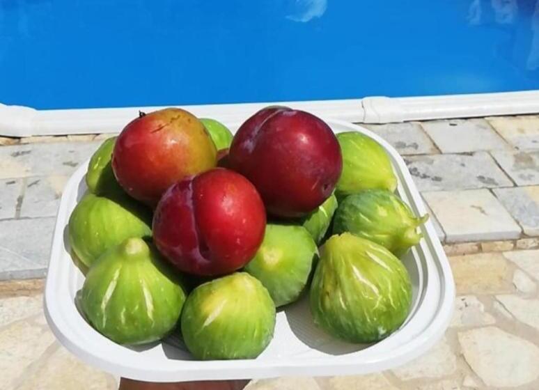 شقة غرفة واحدة مطلة على الحديقة, Villa Resilienza