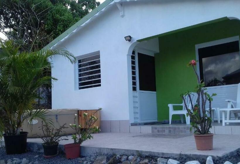 آپارتمان 1 خوابه با چشم‌انداز دریا, Bikamado