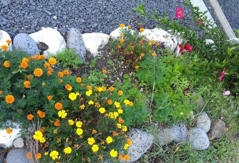 آپارتمان 1 خوابه با چشم‌انداز دریا, Bikamado