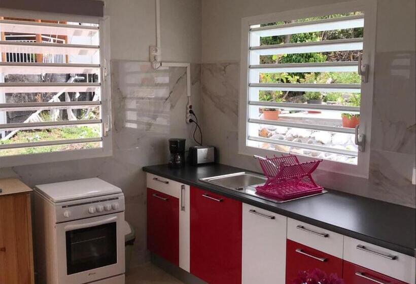 آپارتمان 1 خوابه با تراس, Bikamado