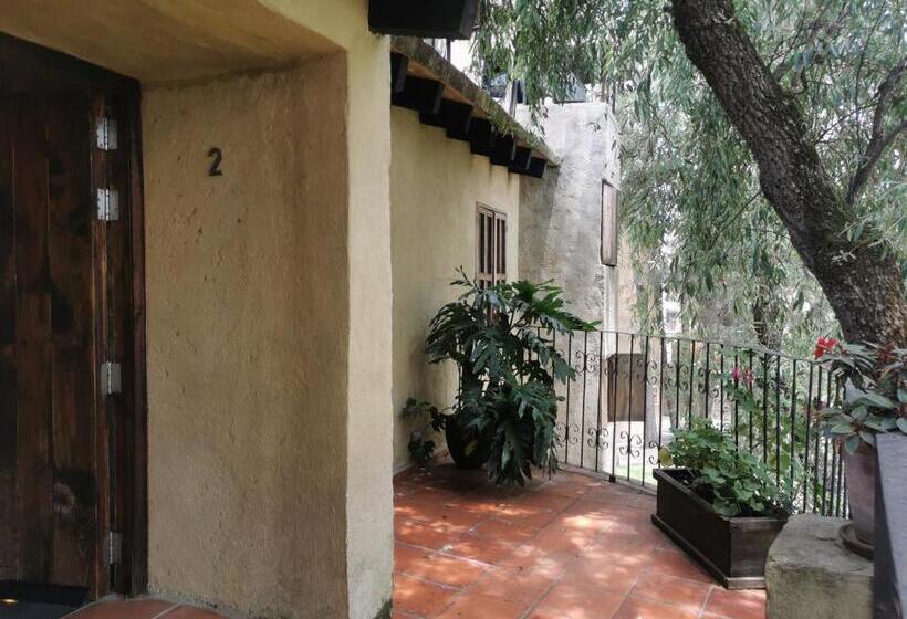 חדר דלוקס, Canaria