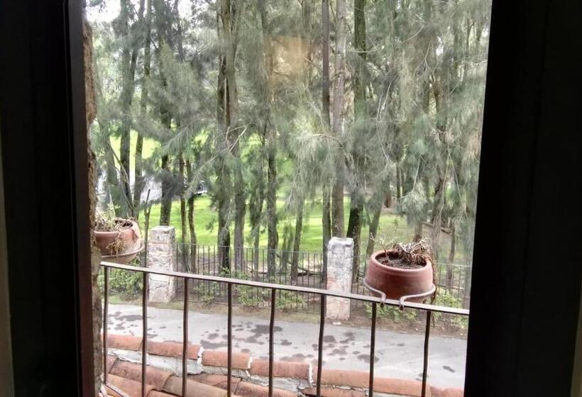 חדר קומפורט לשלושה, Canaria