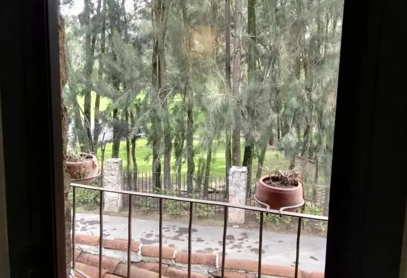 コンフォートトリプルルーム, Canaria