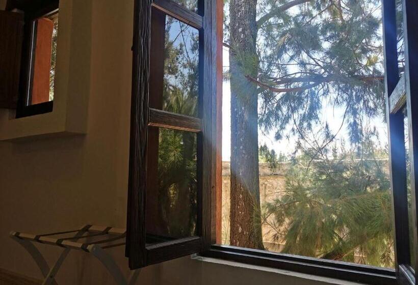 חדר פרמיום לארבעה, Canaria