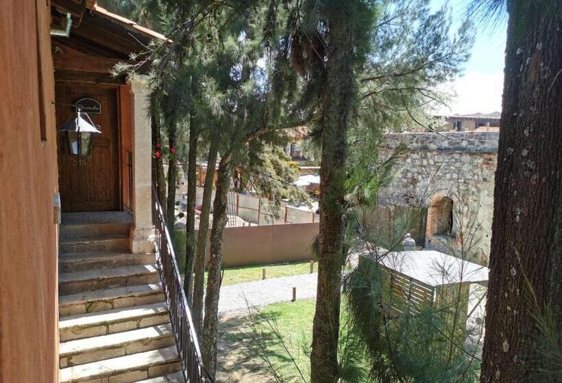 חדר פרמיום לארבעה, Canaria