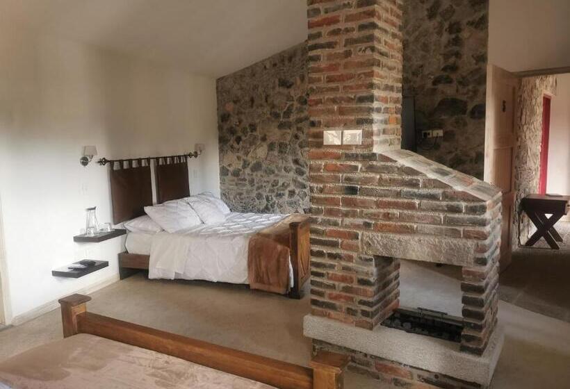 חדר פרמיום לארבעה, Canaria