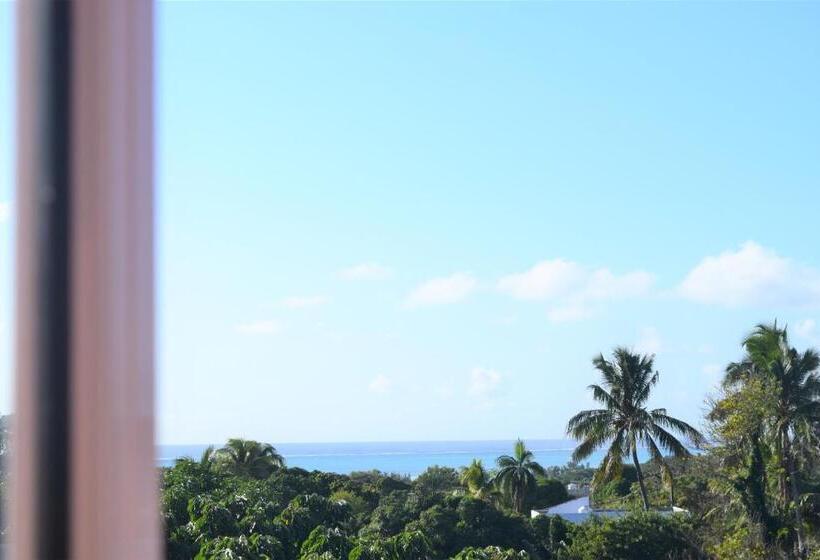 تختخواب در اتاق مشترک, Le Rosier