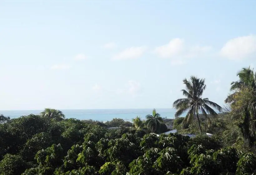 تختخواب در اتاق مشترک, Le Rosier