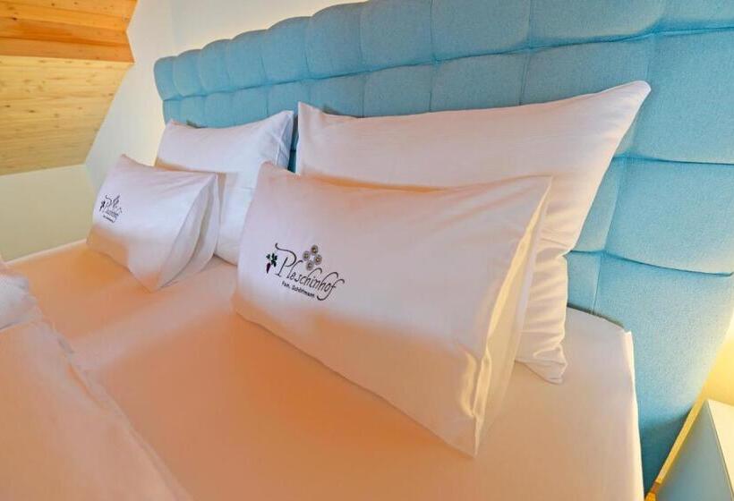 شقة غرفة واحدة ذات إطلالة, Pleschinhof