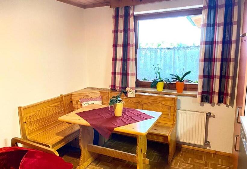 شقة غرفة واحدة مزودة بتراس, Pleschinhof