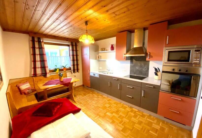 شقة غرفة واحدة مزودة بتراس, Pleschinhof