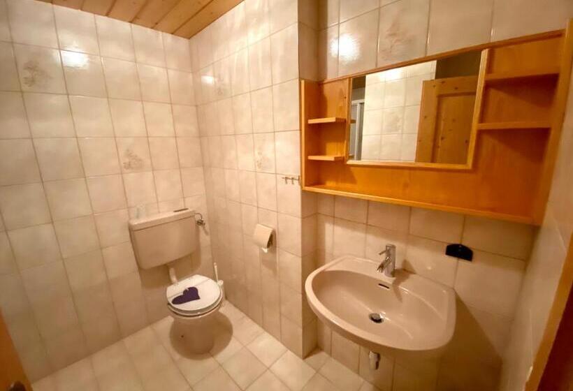 آپارتمان 1 خوابه با تراس, Pleschinhof