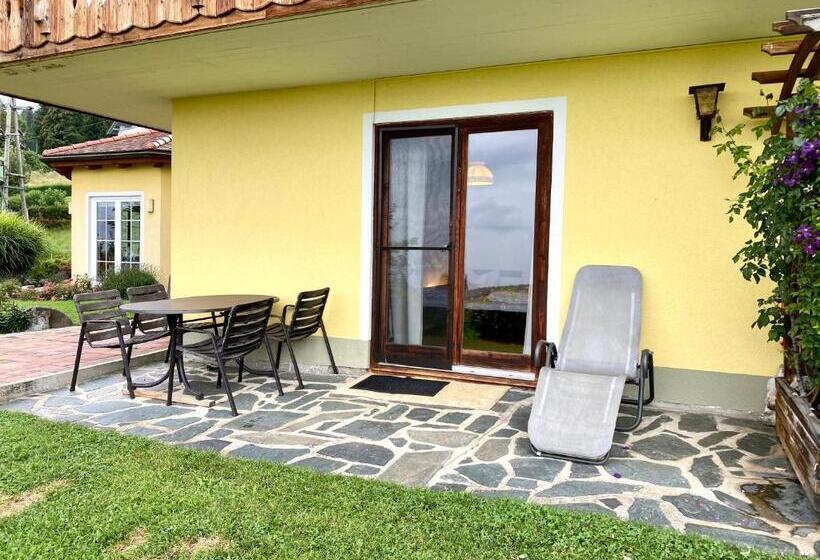 شقة غرفة واحدة مزودة بتراس, Pleschinhof