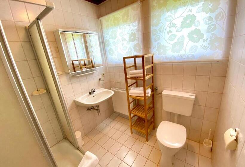 شقة غرفة واحدة, Pleschinhof