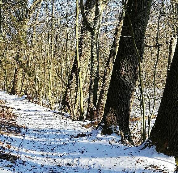 经济型三人房间, Zur Alten Eiche