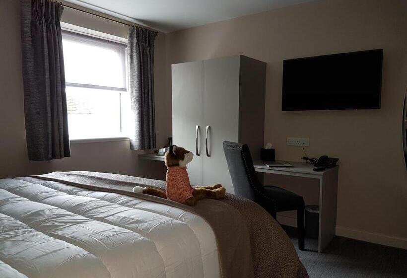 スタンダードルーム, The Sally