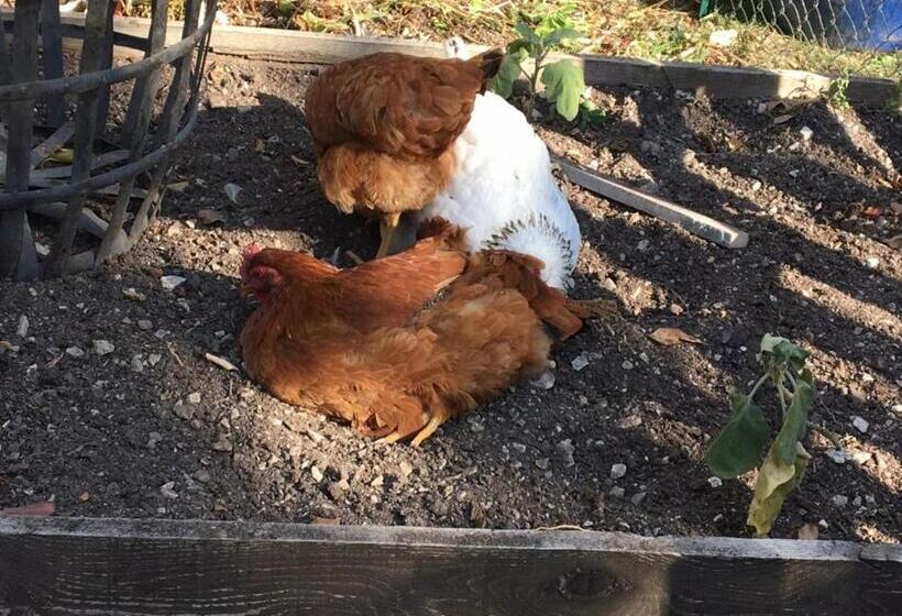 标准间带山景, Chambre D Hotes Sandra