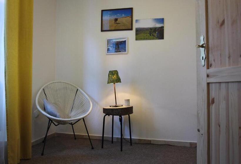 带共用浴室的标准房间, Gran Hostel