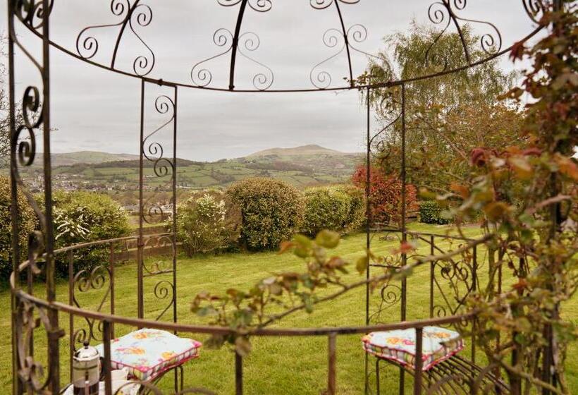 スイート, Neuadd B&b Suites