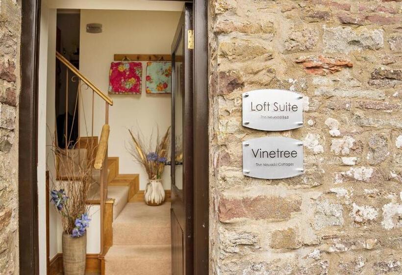 スイート, Neuadd B&b Suites