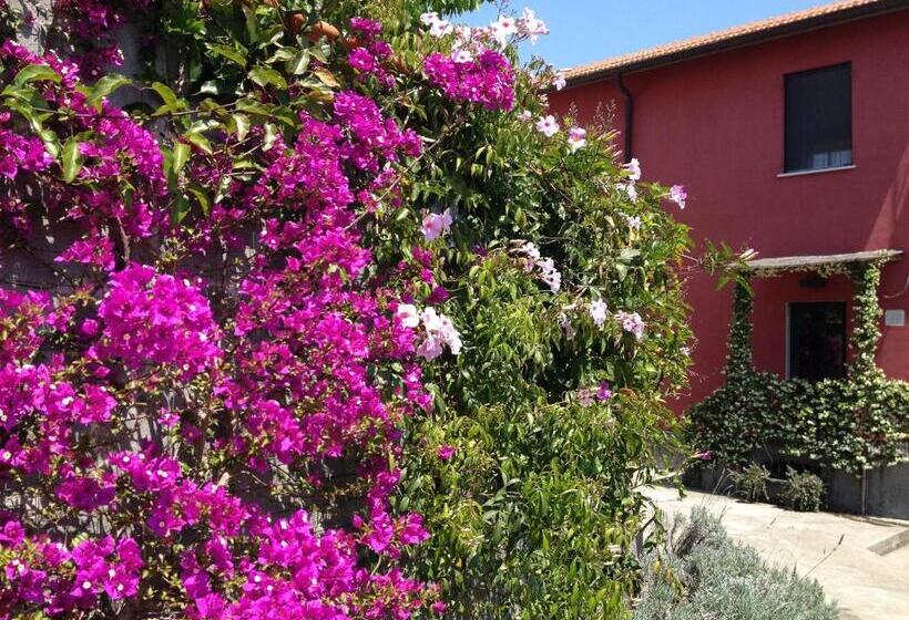 آپارتمان 1 خوابه, Antoniana