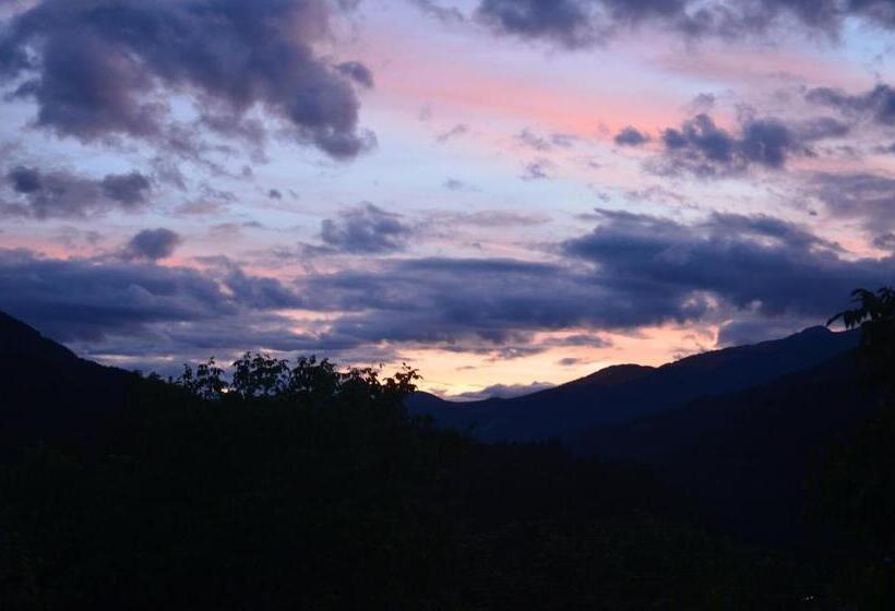 マウンテンビューファミリールーム, Falkenau