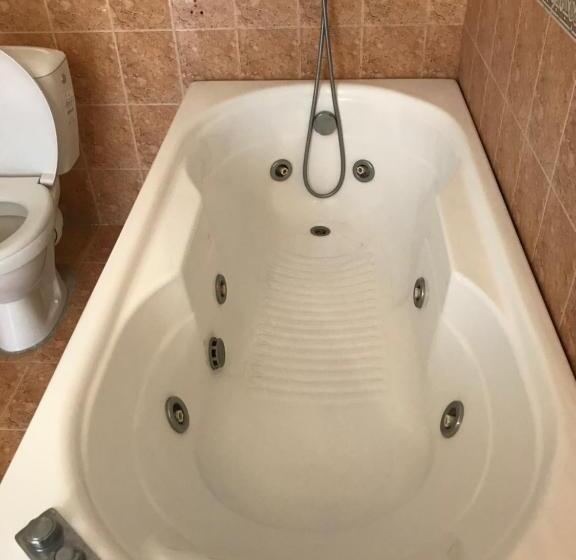 标准间, Milena`s House