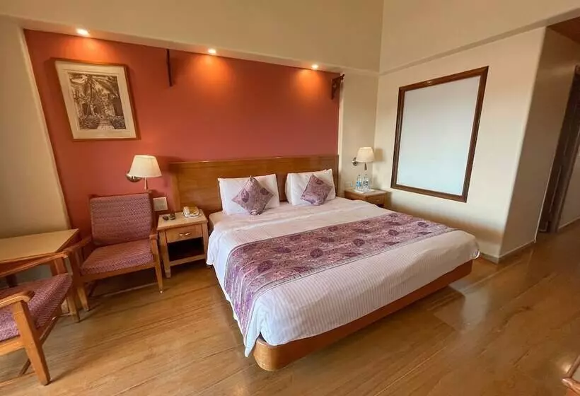 デラックスルーム, Acron Candolim Regina