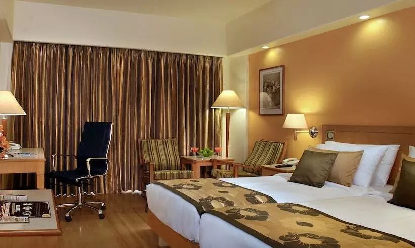 デラックスルーム, Acron Candolim Regina