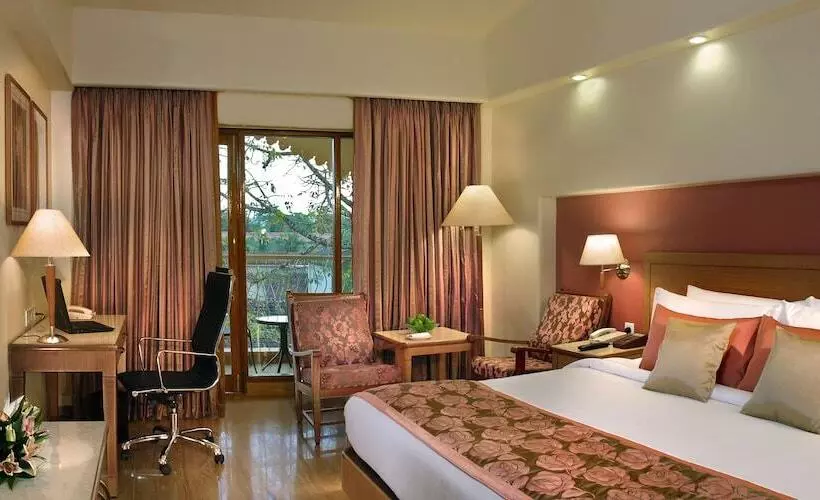 デラックスルーム, Acron Candolim Regina