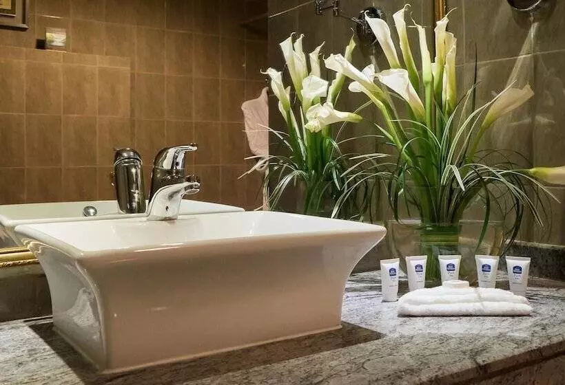 سوییت با چشم‌انداز دریا, Best Western Plus Doha