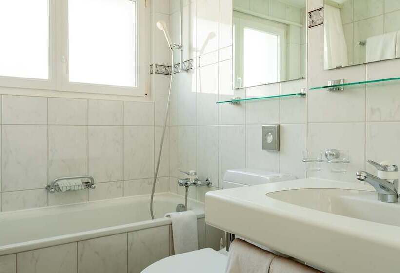 اتاق استاندارد, Jägerhof