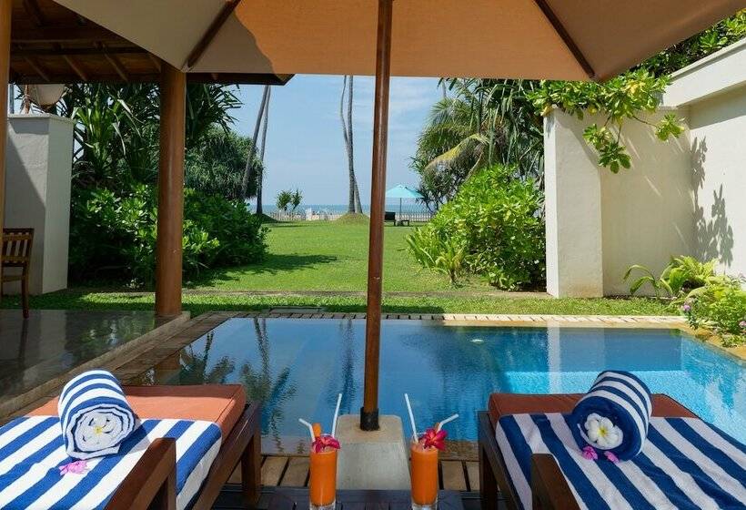 Номер Стандарт, Serene Pavilions