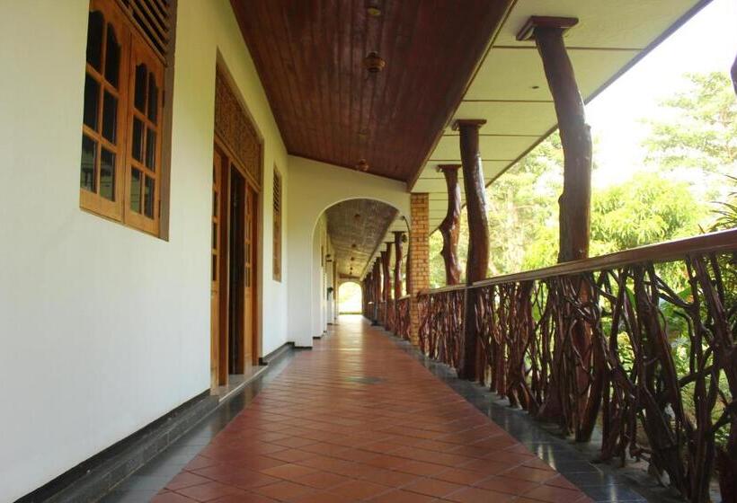 Номер Deluxe Вид на Бассейн, Wila Safari