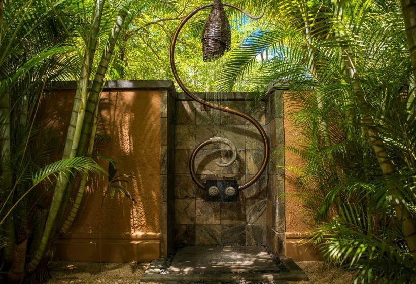 ویلای 1 خوابه با چشمانداز دریا, Shanti Maurice Resort & Spa