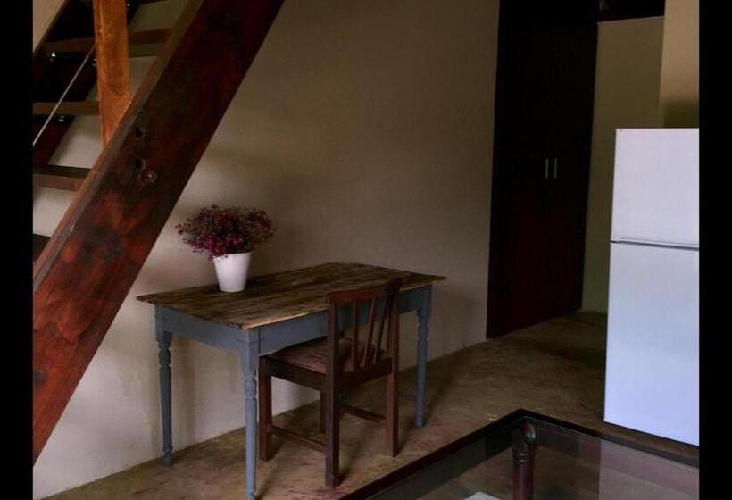 이코노미 룸, Inyameko Bnb