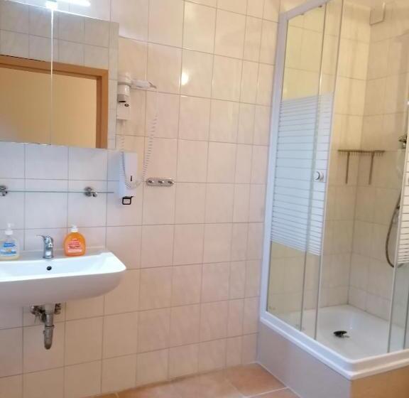 Номер Стандарт, Löwen Unterkunft Braunschweig