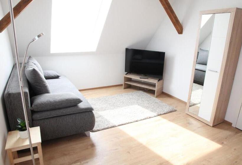 Апартаменты Deluxe 1 Спальня, Schwaben Apartment