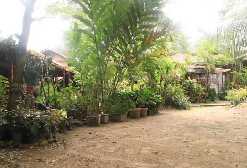 اتاق لوکس خانوادگی, Theresa S Pension House