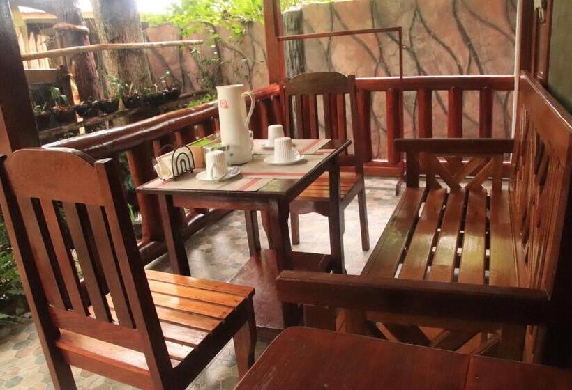 اتاق لوکس خانوادگی, Theresa S Pension House