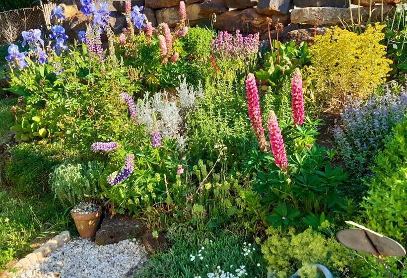 חדר סטנדרט, La Treille