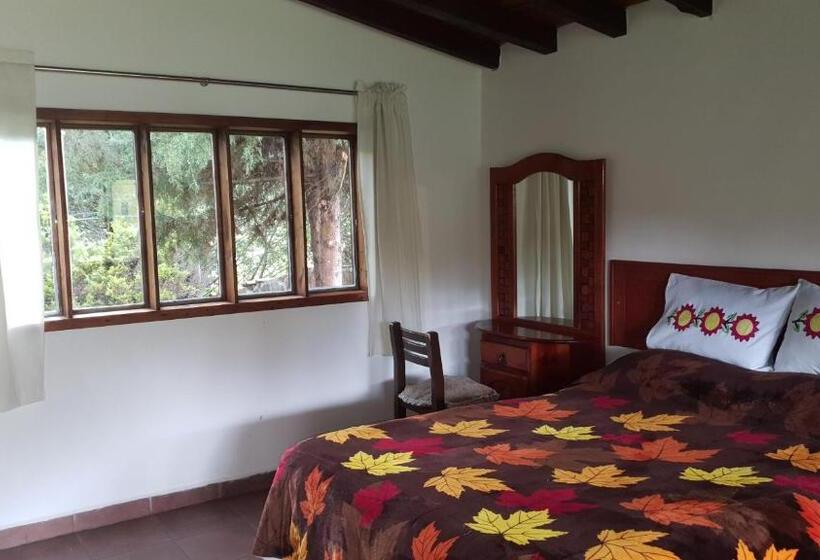 חדר סטנדרט, Rio Estigia Inn