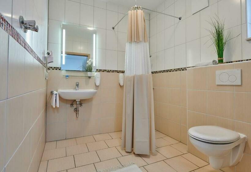 Номер бизнес-класса, Sunny Hotel Straubing