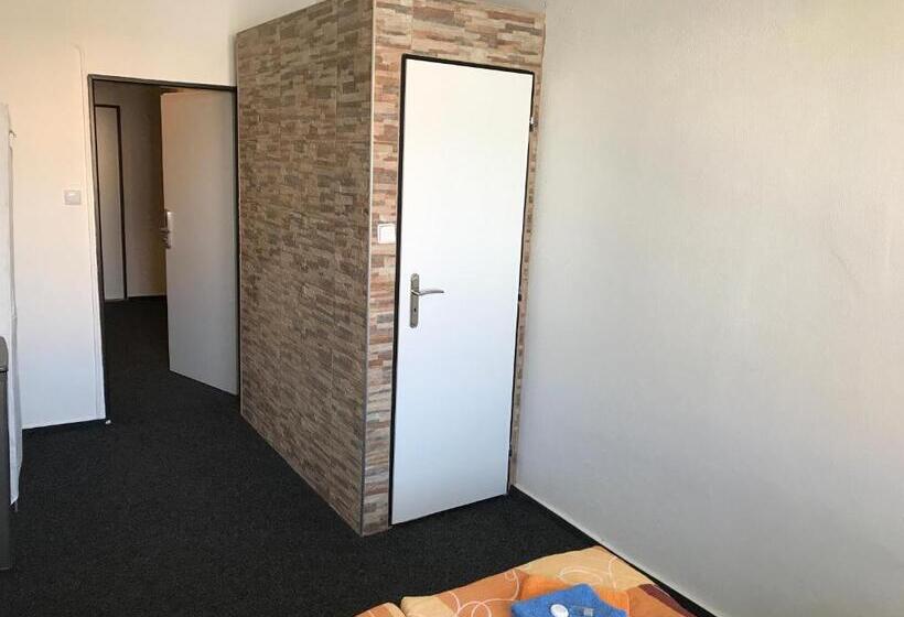 ベーシックルーム, Zlatá éra