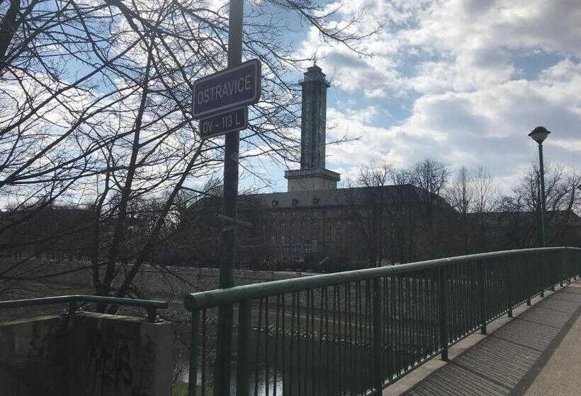 スタンダードルーム, Zlatá éra