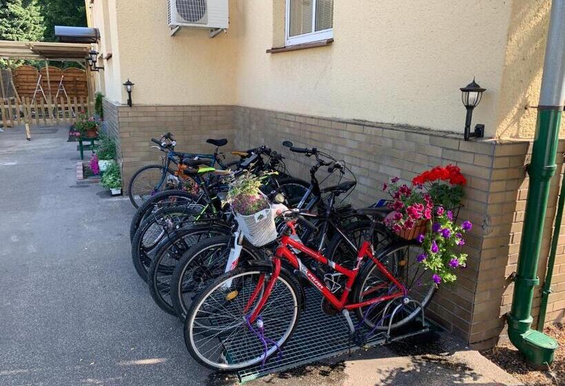 ベーシックルーム, Zlatá éra